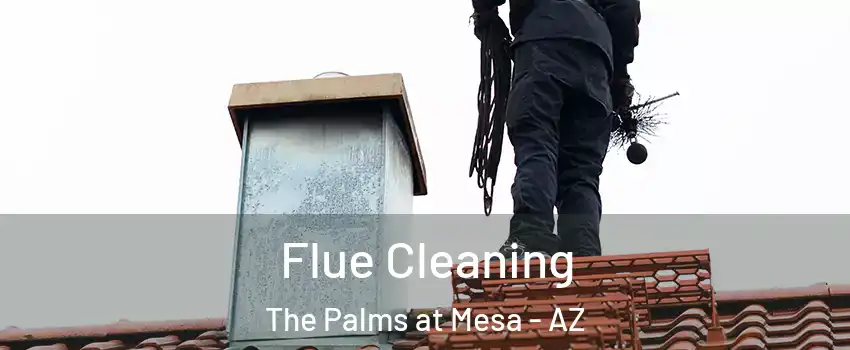 Flue Cleaning The Palms at Mesa - AZ