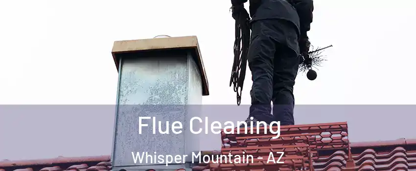 Flue Cleaning Whisper Mountain - AZ