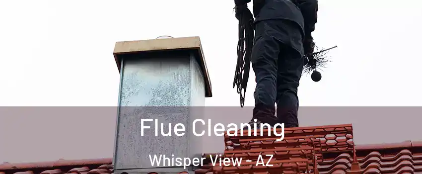 Flue Cleaning Whisper View - AZ