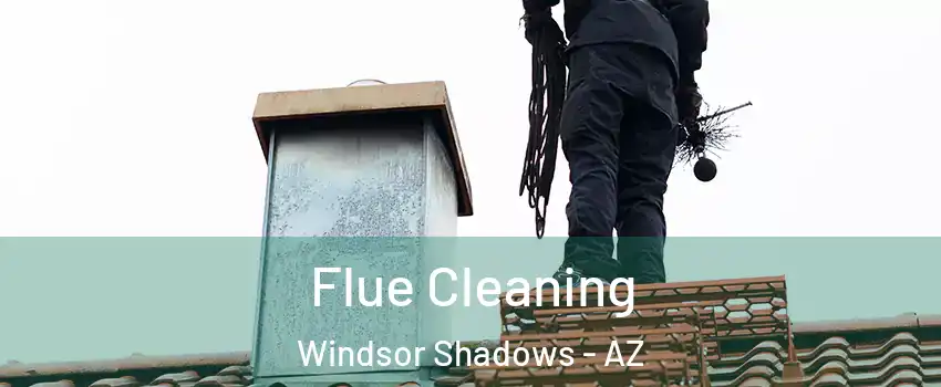 Flue Cleaning Windsor Shadows - AZ