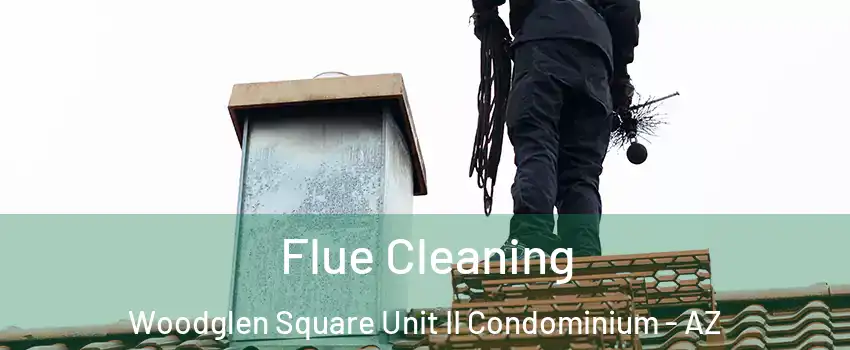 Flue Cleaning Woodglen Square Unit II Condominium - AZ