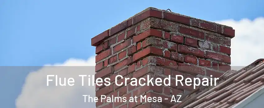 Flue Tiles Cracked Repair The Palms at Mesa - AZ