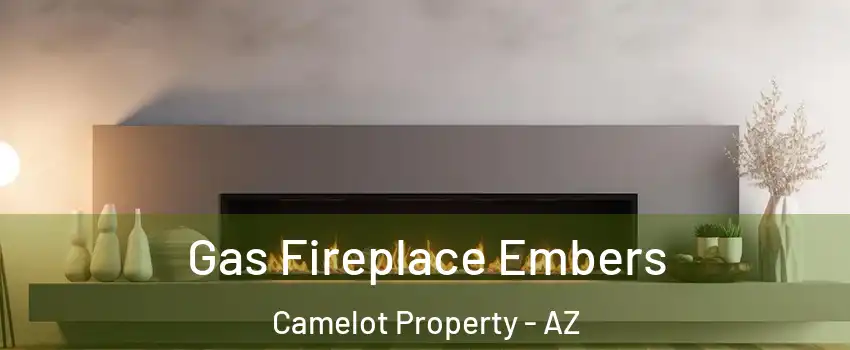 Gas Fireplace Embers Camelot Property - AZ