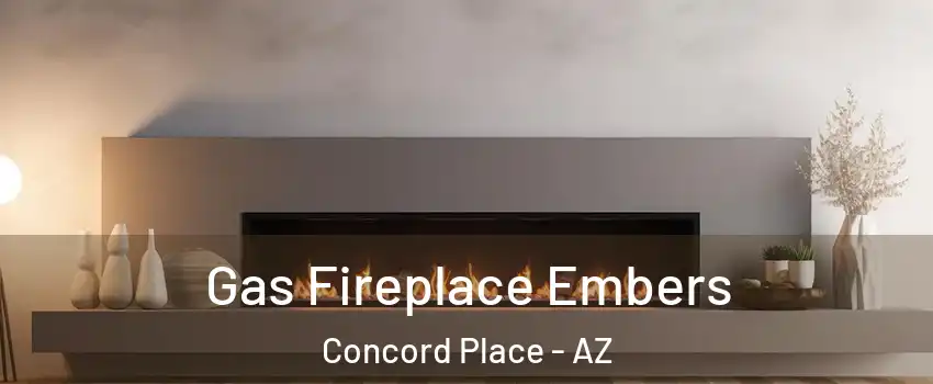 Gas Fireplace Embers Concord Place - AZ