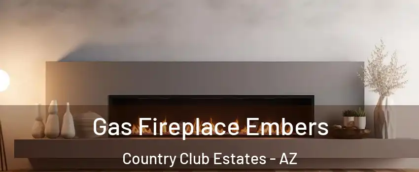 Gas Fireplace Embers Country Club Estates - AZ