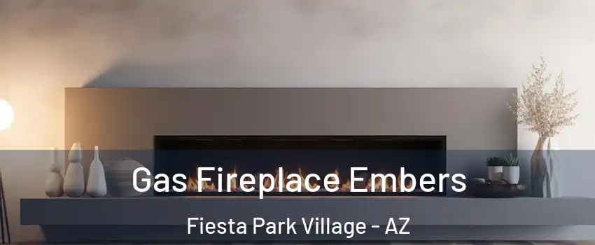 Gas Fireplace Embers Fiesta Park Village - AZ