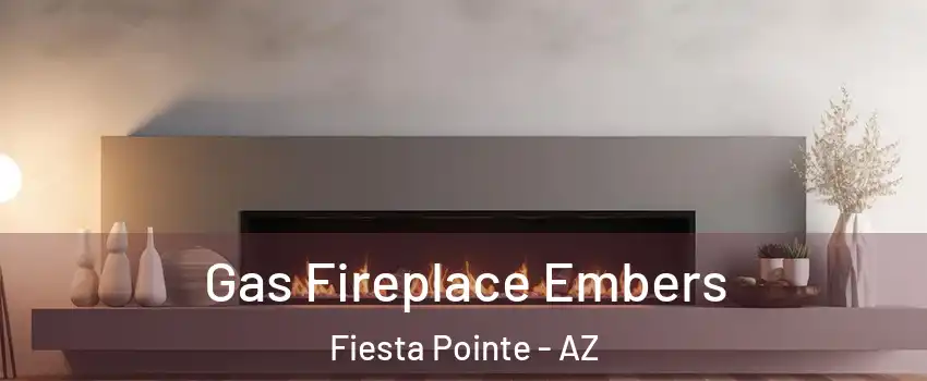 Gas Fireplace Embers Fiesta Pointe - AZ