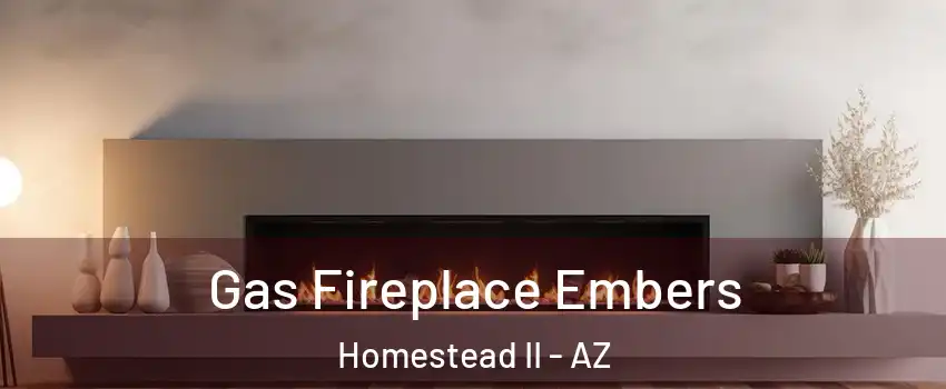 Gas Fireplace Embers Homestead II - AZ
