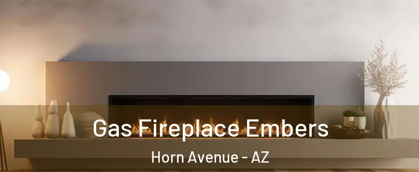 Gas Fireplace Embers Horn Avenue - AZ