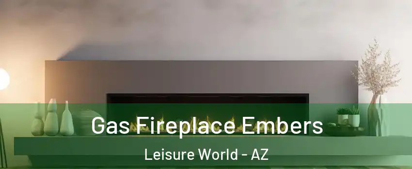 Gas Fireplace Embers Leisure World - AZ
