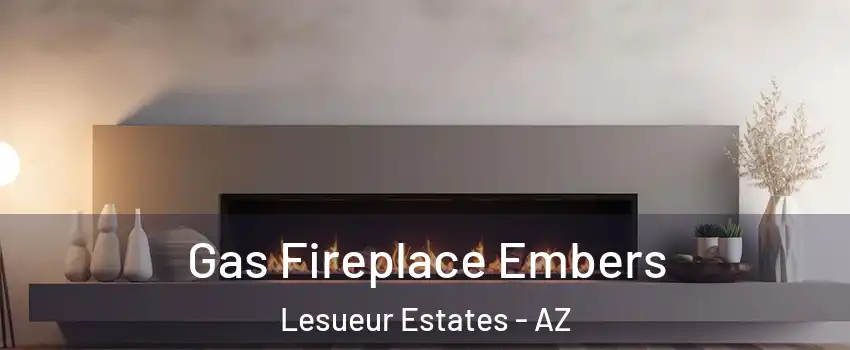 Gas Fireplace Embers Lesueur Estates - AZ