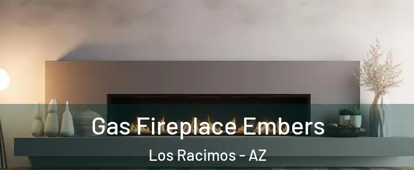 Gas Fireplace Embers Los Racimos - AZ
