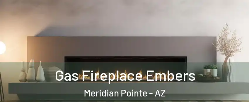 Gas Fireplace Embers Meridian Pointe - AZ
