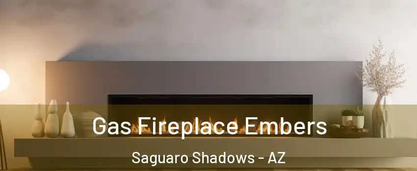 Gas Fireplace Embers Saguaro Shadows - AZ