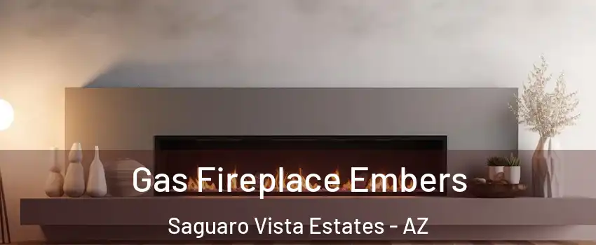 Gas Fireplace Embers Saguaro Vista Estates - AZ