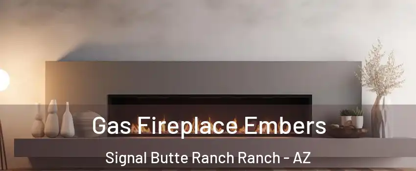 Gas Fireplace Embers Signal Butte Ranch Ranch - AZ