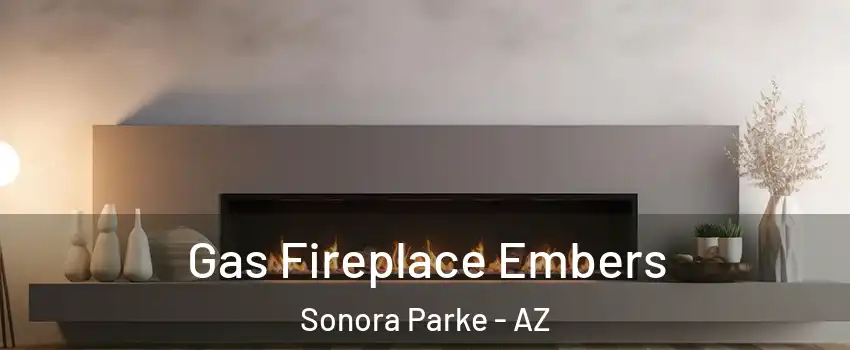 Gas Fireplace Embers Sonora Parke - AZ