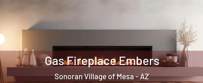 Gas Fireplace Embers Sonoran Village of Mesa - AZ