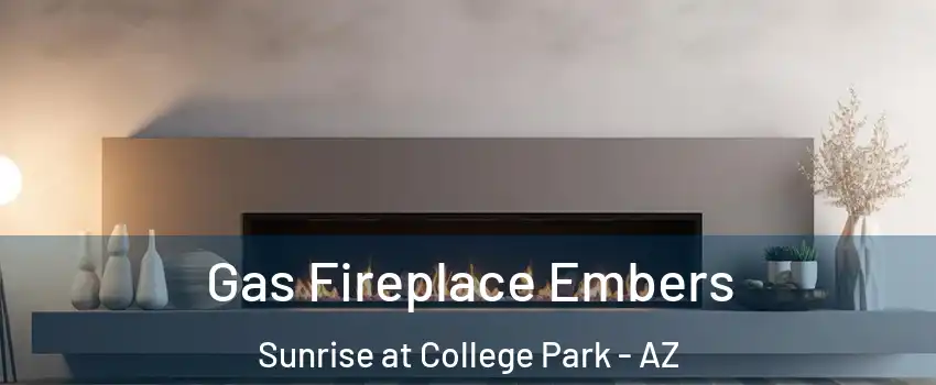 Gas Fireplace Embers Sunrise at College Park - AZ
