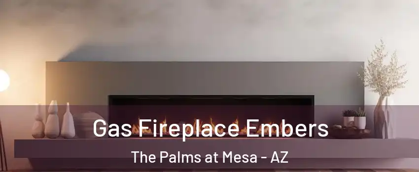Gas Fireplace Embers The Palms at Mesa - AZ
