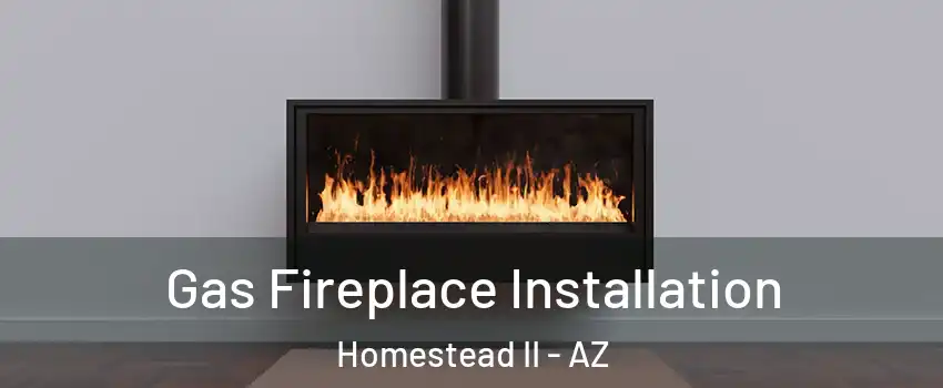 Gas Fireplace Installation Homestead II - AZ