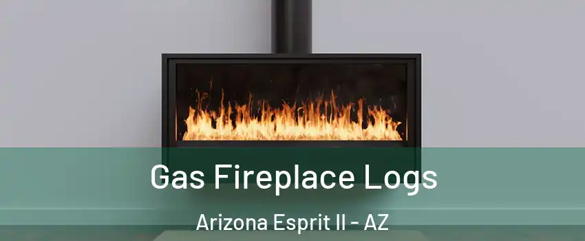 Gas Fireplace Logs Arizona Esprit II - AZ