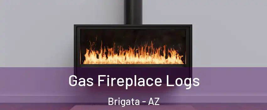 Gas Fireplace Logs Brigata - AZ