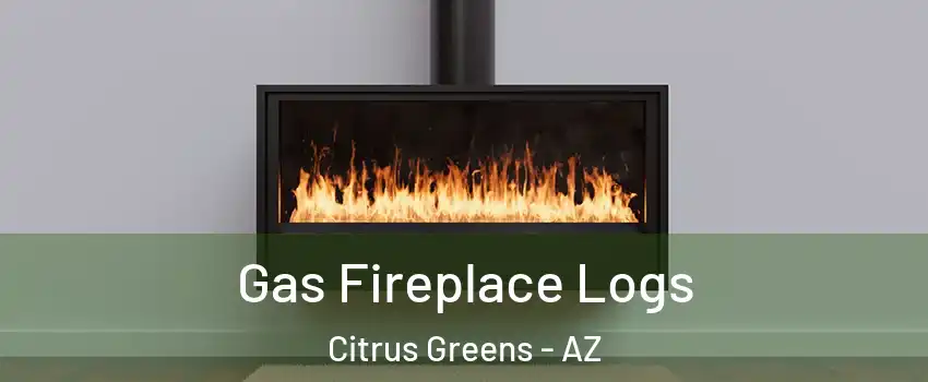 Gas Fireplace Logs Citrus Greens - AZ