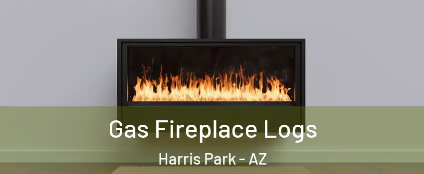 Gas Fireplace Logs Harris Park - AZ