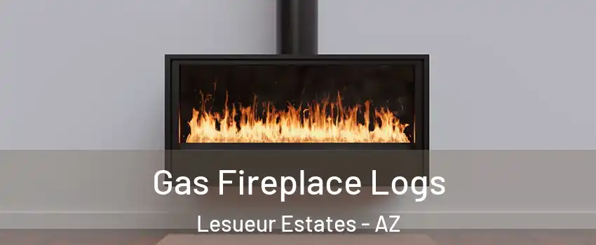 Gas Fireplace Logs Lesueur Estates - AZ