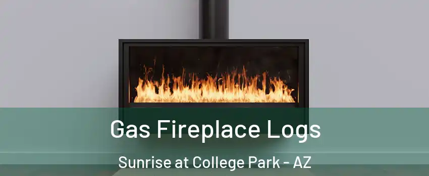 Gas Fireplace Logs Sunrise at College Park - AZ