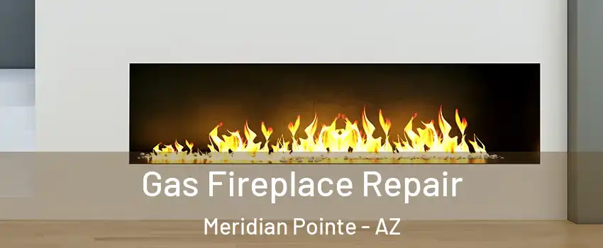 Gas Fireplace Repair Meridian Pointe - AZ