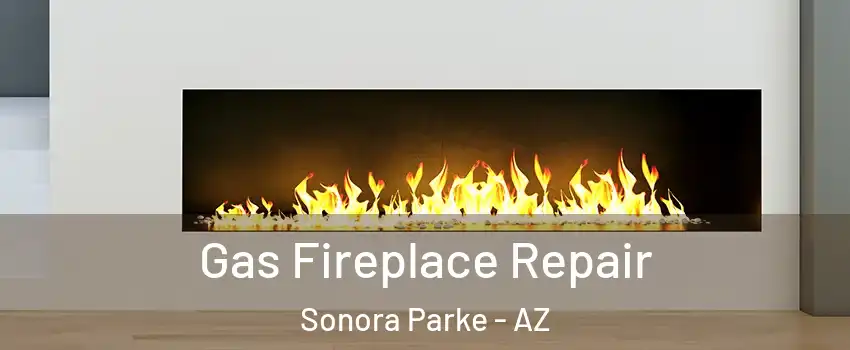 Gas Fireplace Repair Sonora Parke - AZ