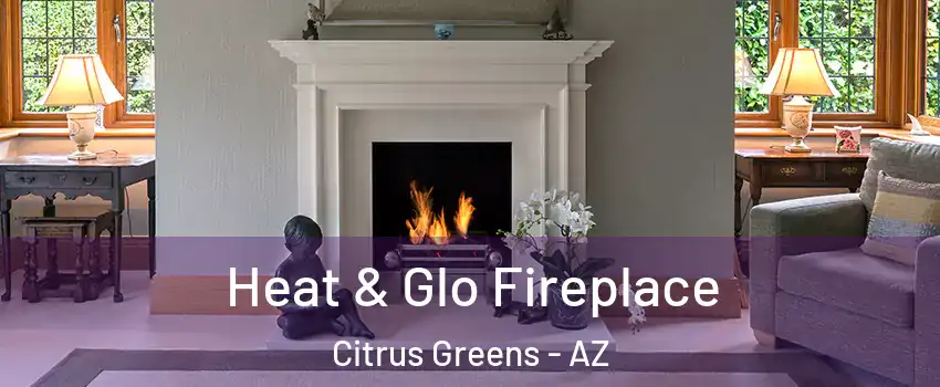 Heat & Glo Fireplace Citrus Greens - AZ
