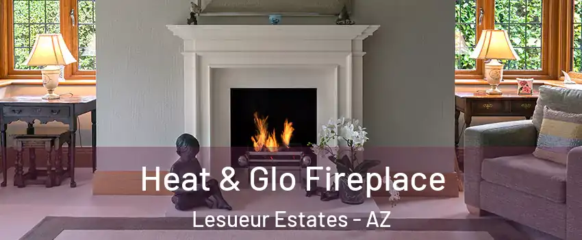Heat & Glo Fireplace Lesueur Estates - AZ
