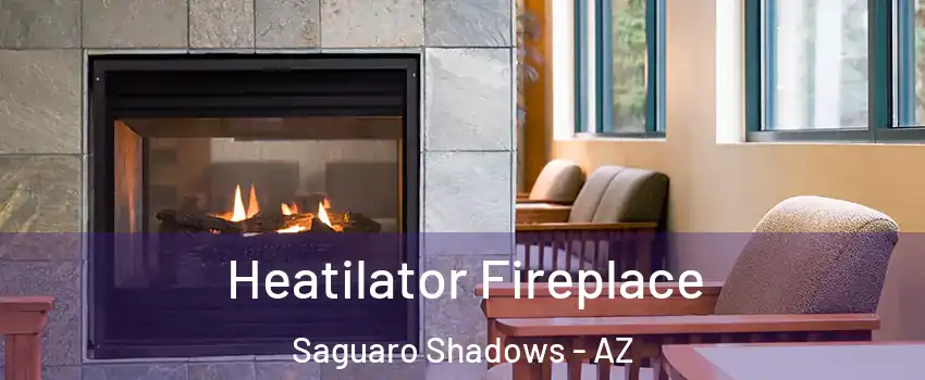 Heatilator Fireplace Saguaro Shadows - AZ