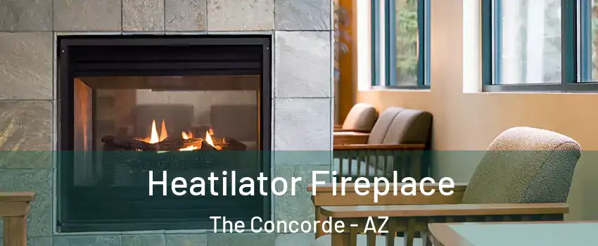Heatilator Fireplace The Concorde - AZ