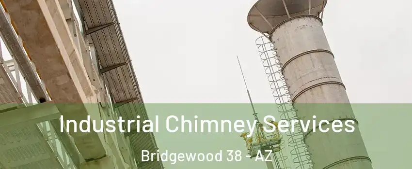 Industrial Chimney Services Bridgewood 38 - AZ