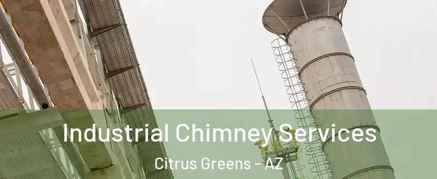 Industrial Chimney Services Citrus Greens - AZ