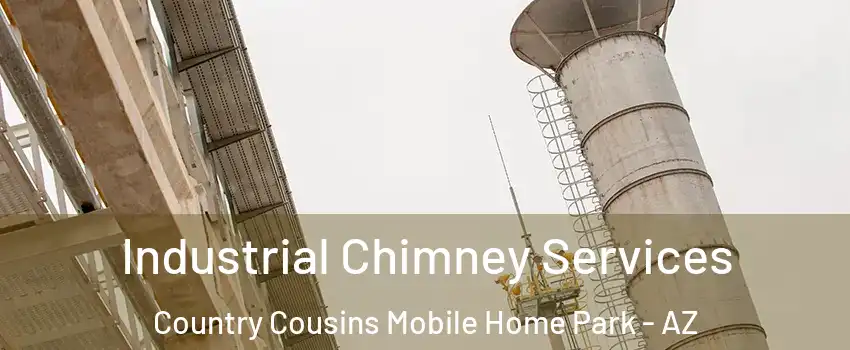 Industrial Chimney Services Country Cousins Mobile Home Park - AZ