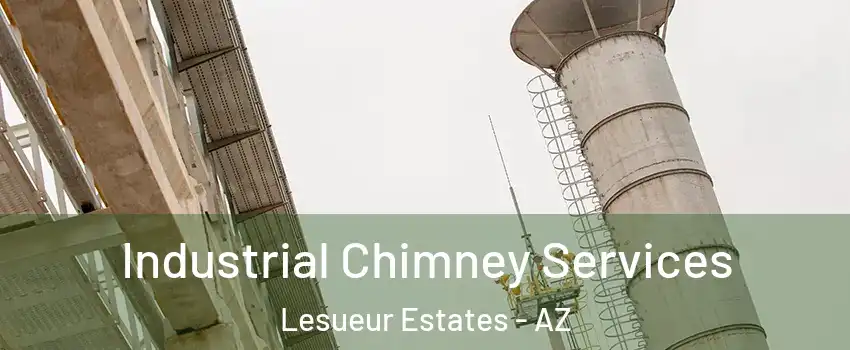 Industrial Chimney Services Lesueur Estates - AZ