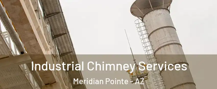 Industrial Chimney Services Meridian Pointe - AZ