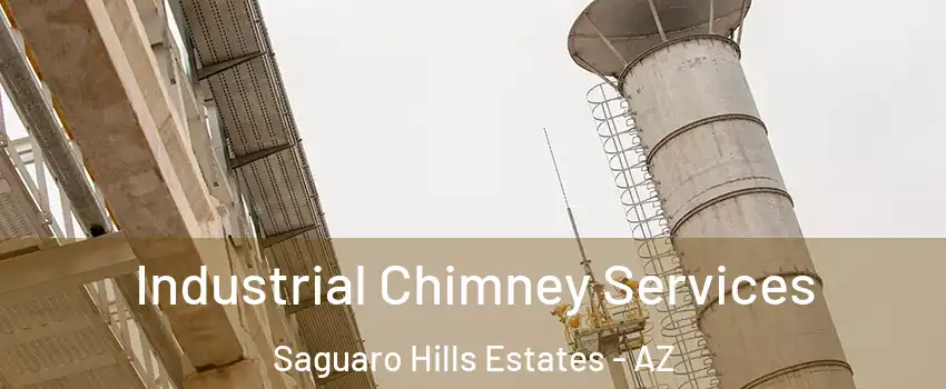 Industrial Chimney Services Saguaro Hills Estates - AZ