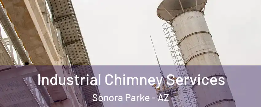 Industrial Chimney Services Sonora Parke - AZ