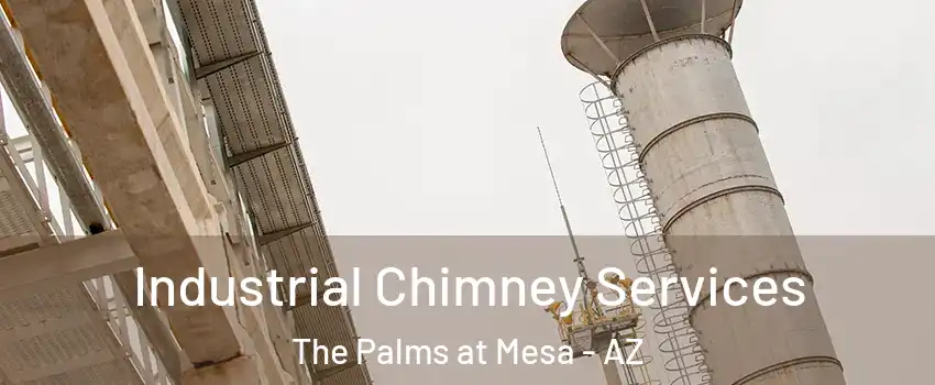 Industrial Chimney Services The Palms at Mesa - AZ