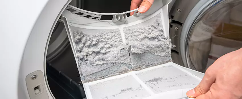 Best Dryer Lint Removal Company in Desert Place at Morrison Ranch, Arizona