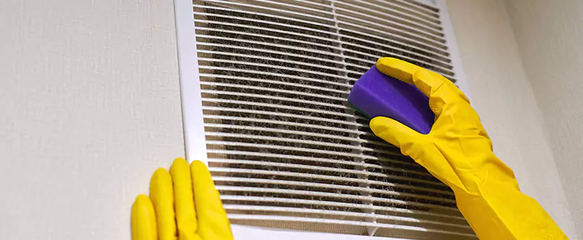 Vent Cleaning Company in Desert Place at Morrison Ranch, AZ