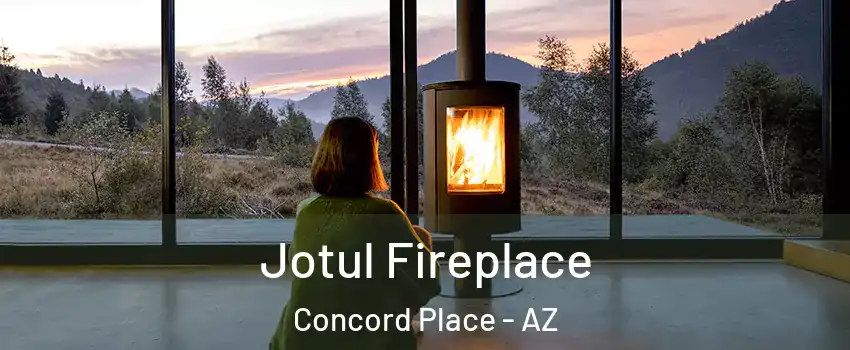 Jotul Fireplace Concord Place - AZ