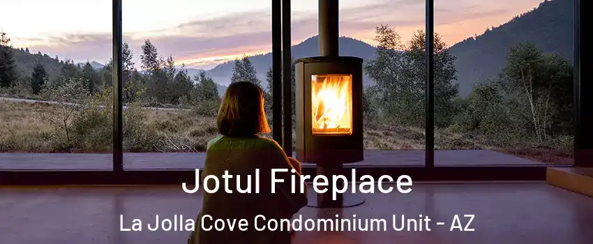 Jotul Fireplace La Jolla Cove Condominium Unit - AZ
