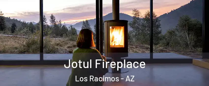 Jotul Fireplace Los Racimos - AZ